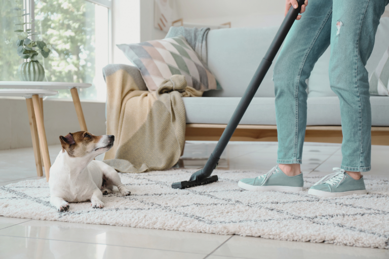 Keeping Your Home Clean with Dogs Blog